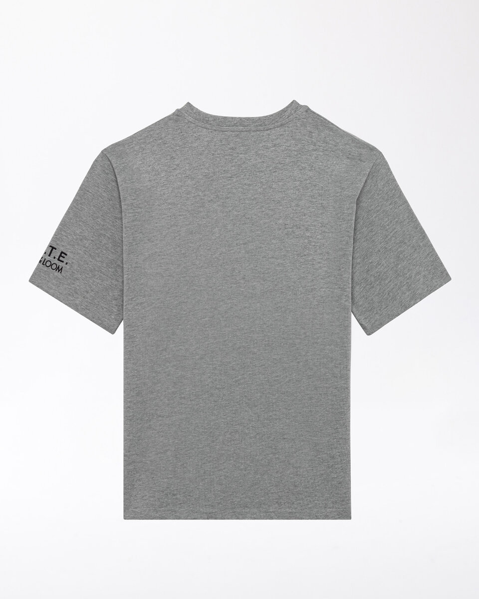 CAMISETA FRUIT GRIS
