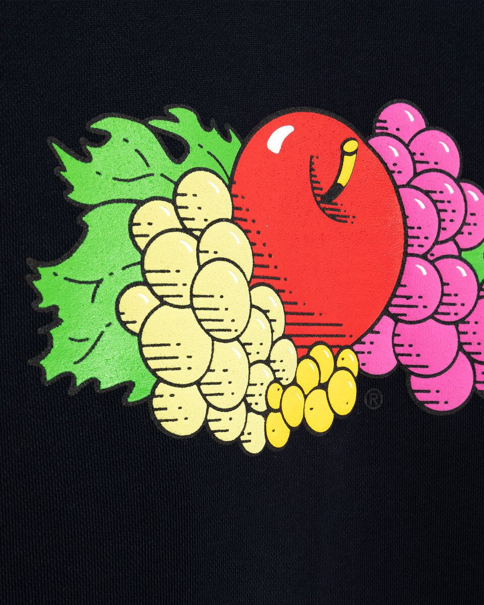 SUDADERA FRUIT BLUE